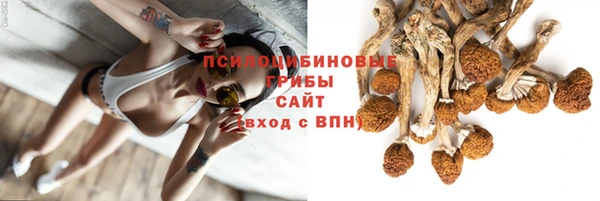 кристаллы Осинники