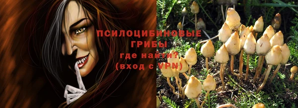 спиды Няндома