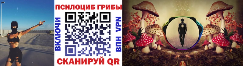 маркетплейс Telegram Амурск Псилоцибиновые грибы Cubensis